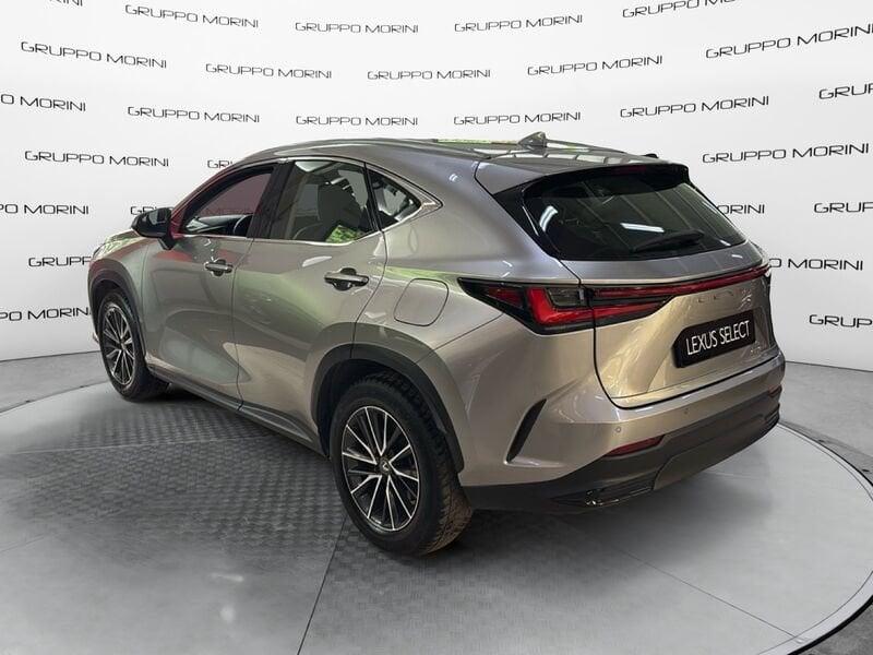 Lexus NX Hybrid Business 2WD