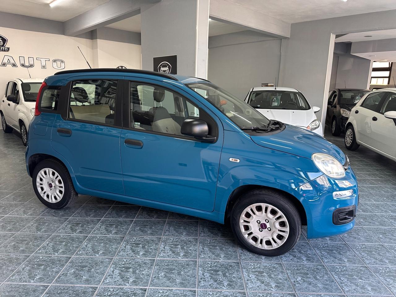 Fiat Panda 1.2 Lounge