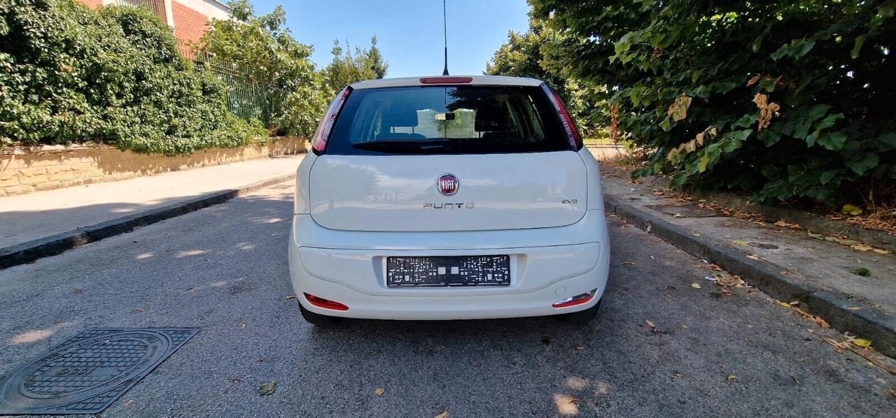 Fiat Punto Evo 1.3 Mjt 75 CV DPF 5 porte S&S Dynamic Lounge