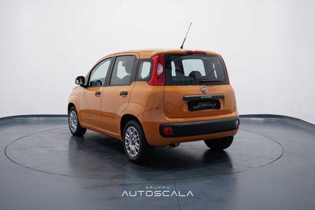 FIAT New Panda 1.2 69cv GPL EasyPower Easy