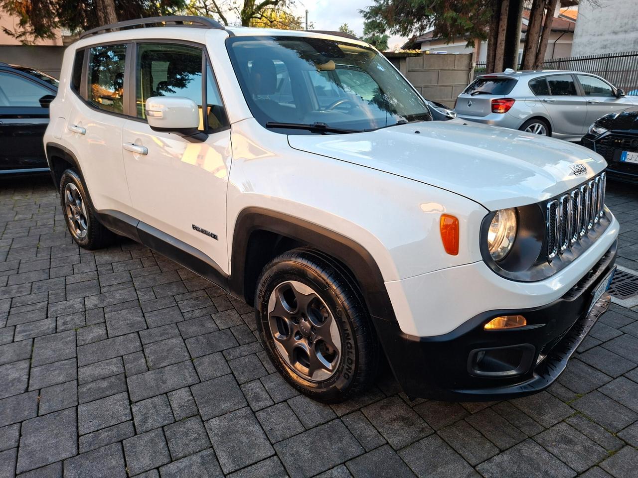 Jeep Renegade 1.6 Mjt 120 CV Longitude