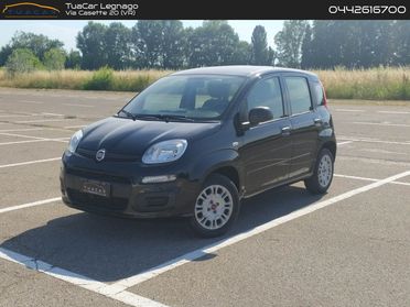 Fiat Panda Easy 1.2 #11426