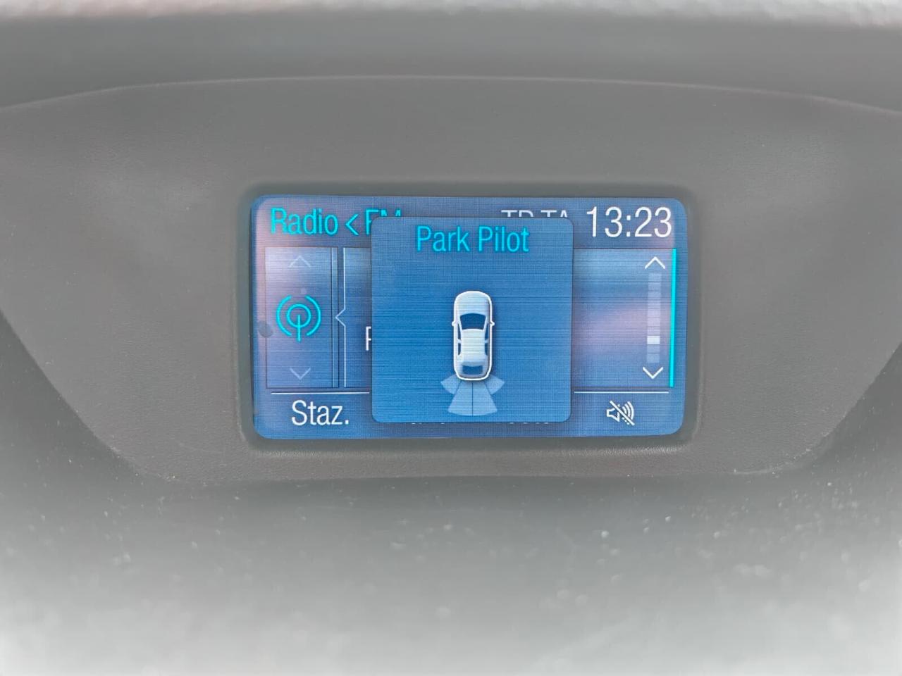 Ford EcoSport 1.5 110 CV Powershift Business