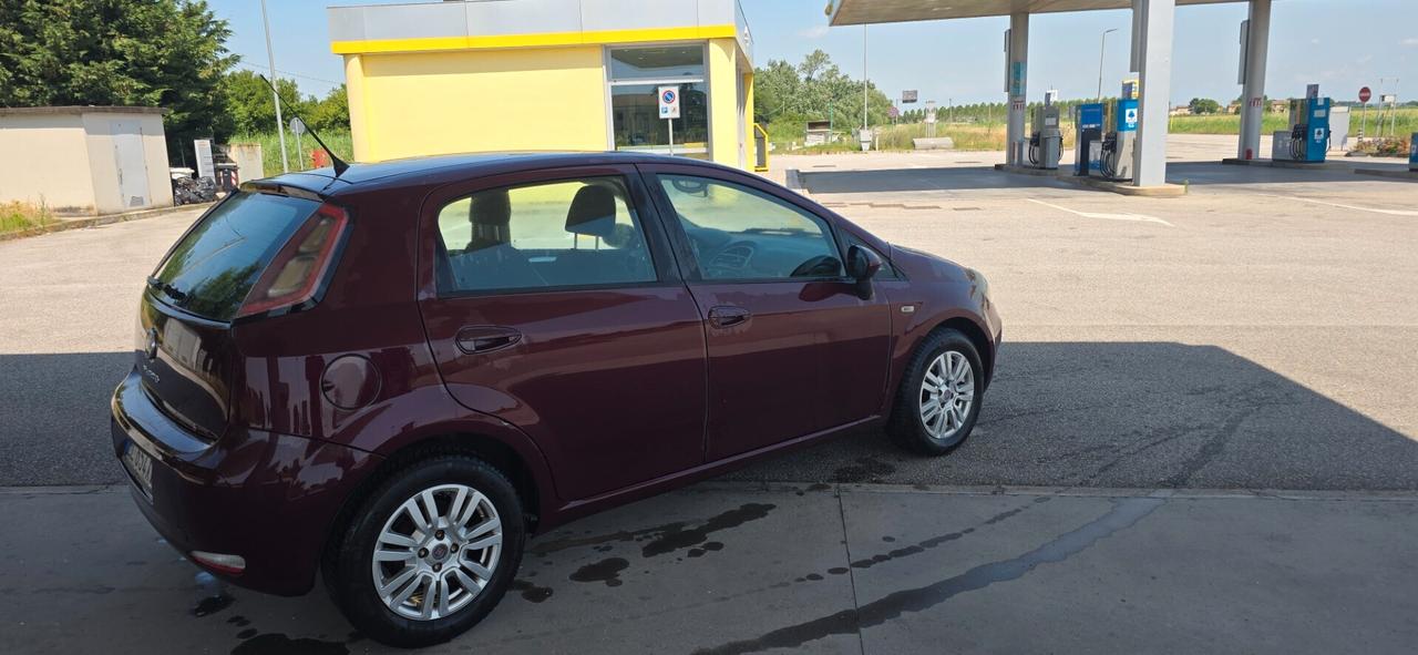 Fiat Punto 1.3 MJT II 75 CV 5 porte Pop