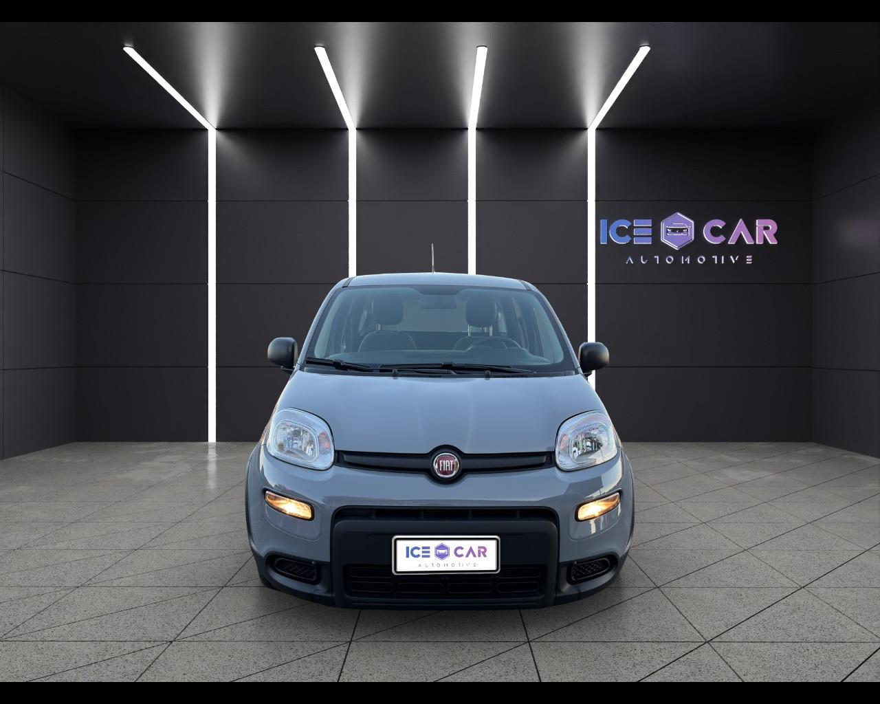 FIAT Panda 3ª serie - Panda 1.0 FireFly S&S Hybrid