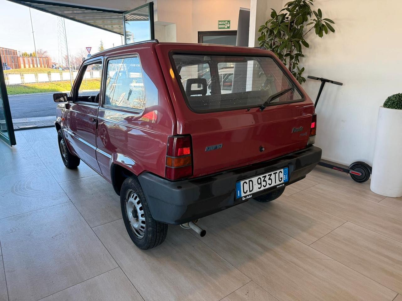 Fiat Panda 1100 i.e. cat Young