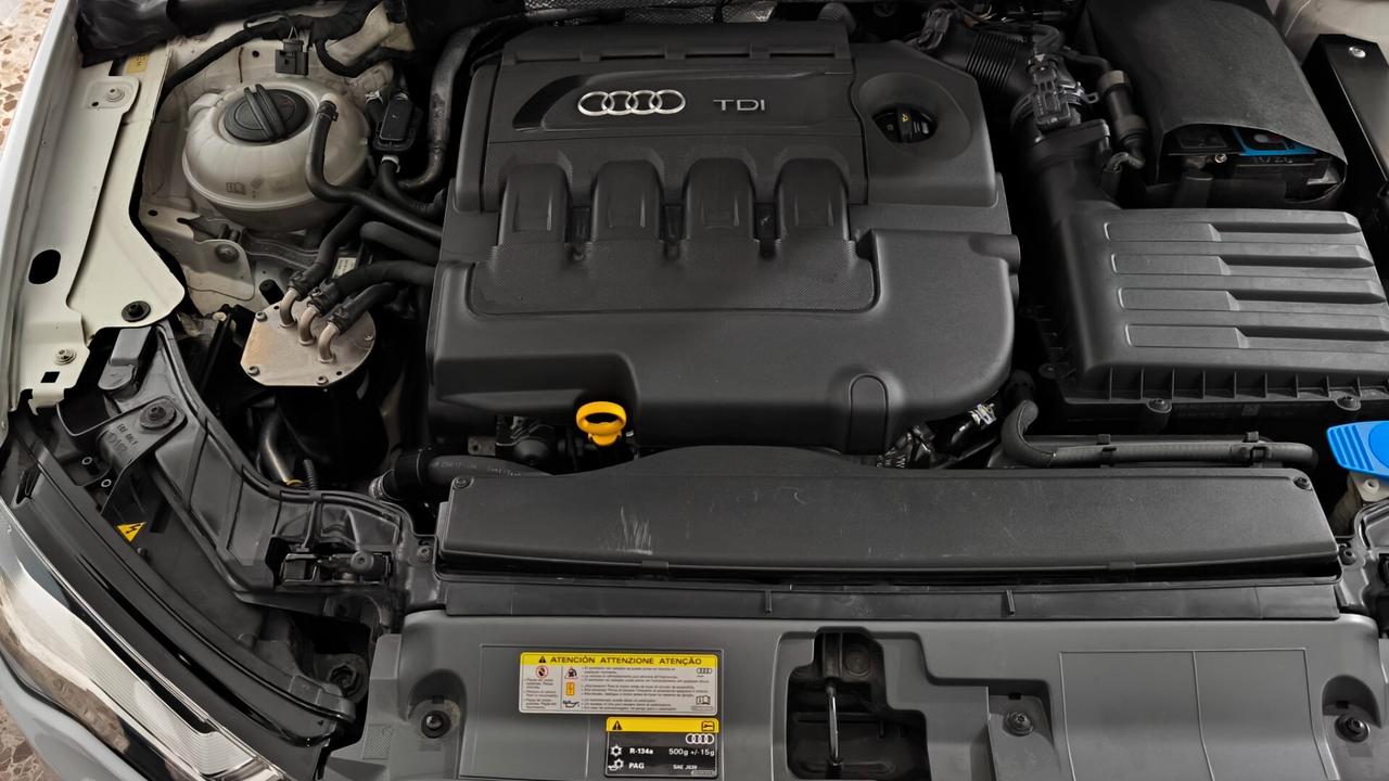 Audi A3 SPB 1.6 TDI clean diesel Business 5P