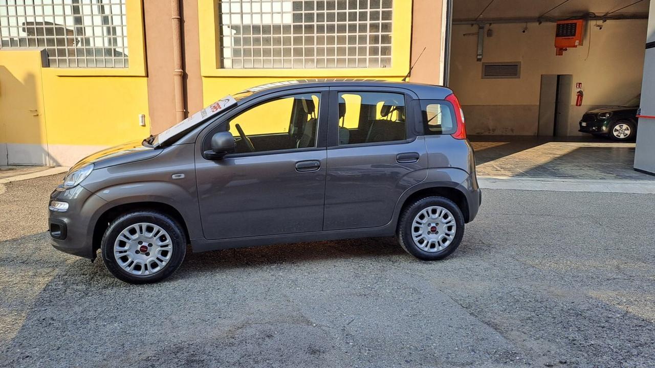 Fiat Panda 1.2 69 CV Easy- KM. 38000 AUTO PER NEOPATENTATI