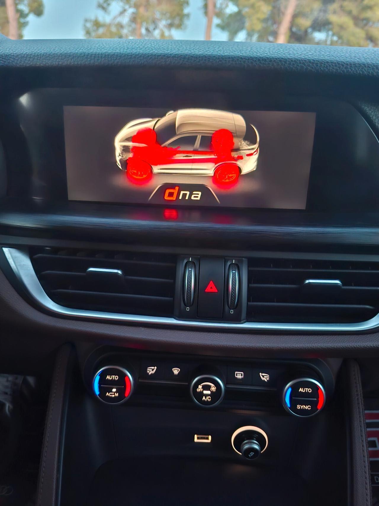 Alfa R. Stelvio 2.2 D 210cv Q4 *PELLE-LED.NAVY-CERCHI 20*