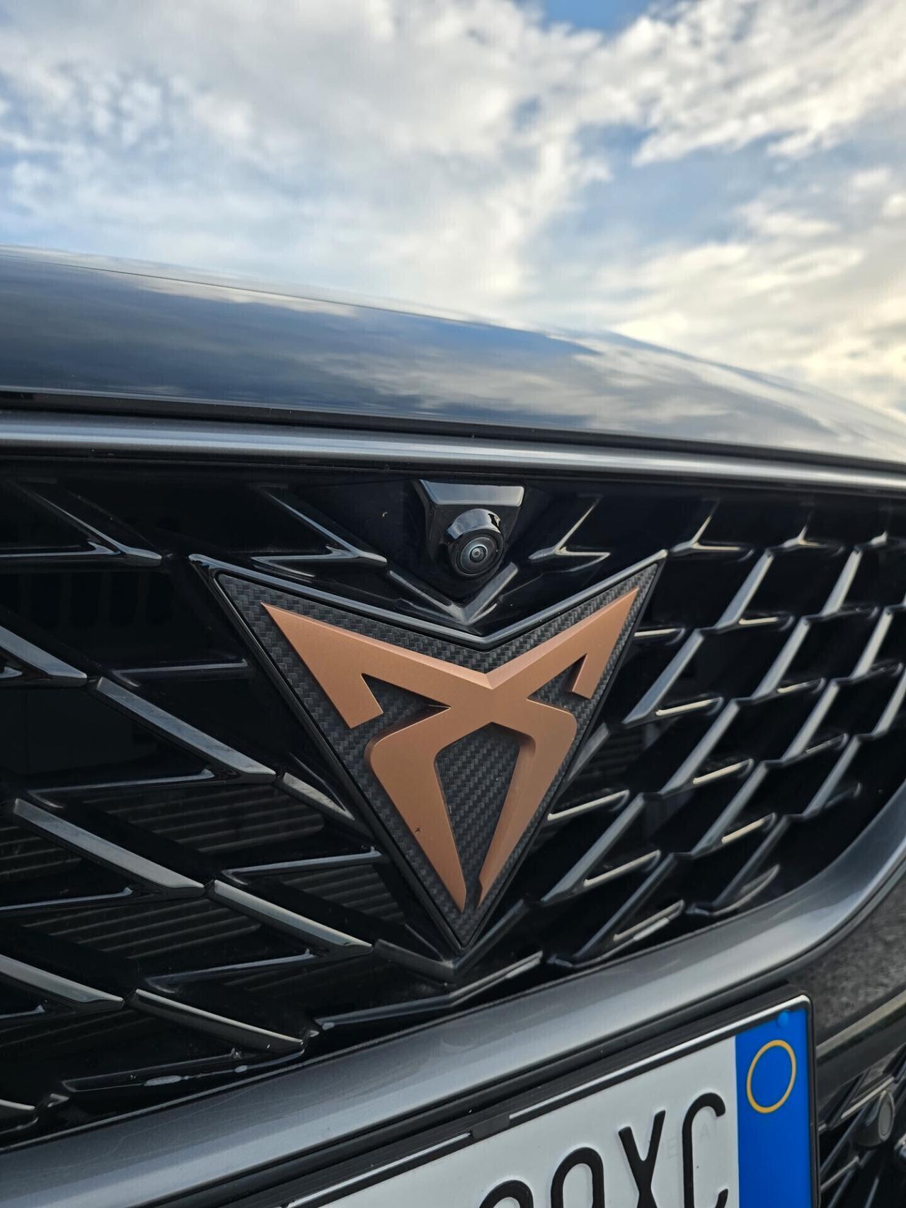 Cupra Formentor 2.0 TDI 4Drive DSG 4x4