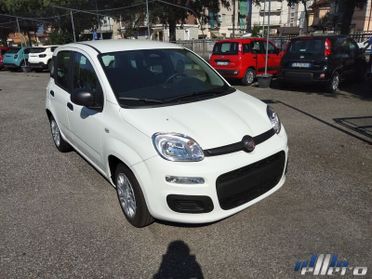 FIAT Panda MY25 1.0 70cv Hybrid