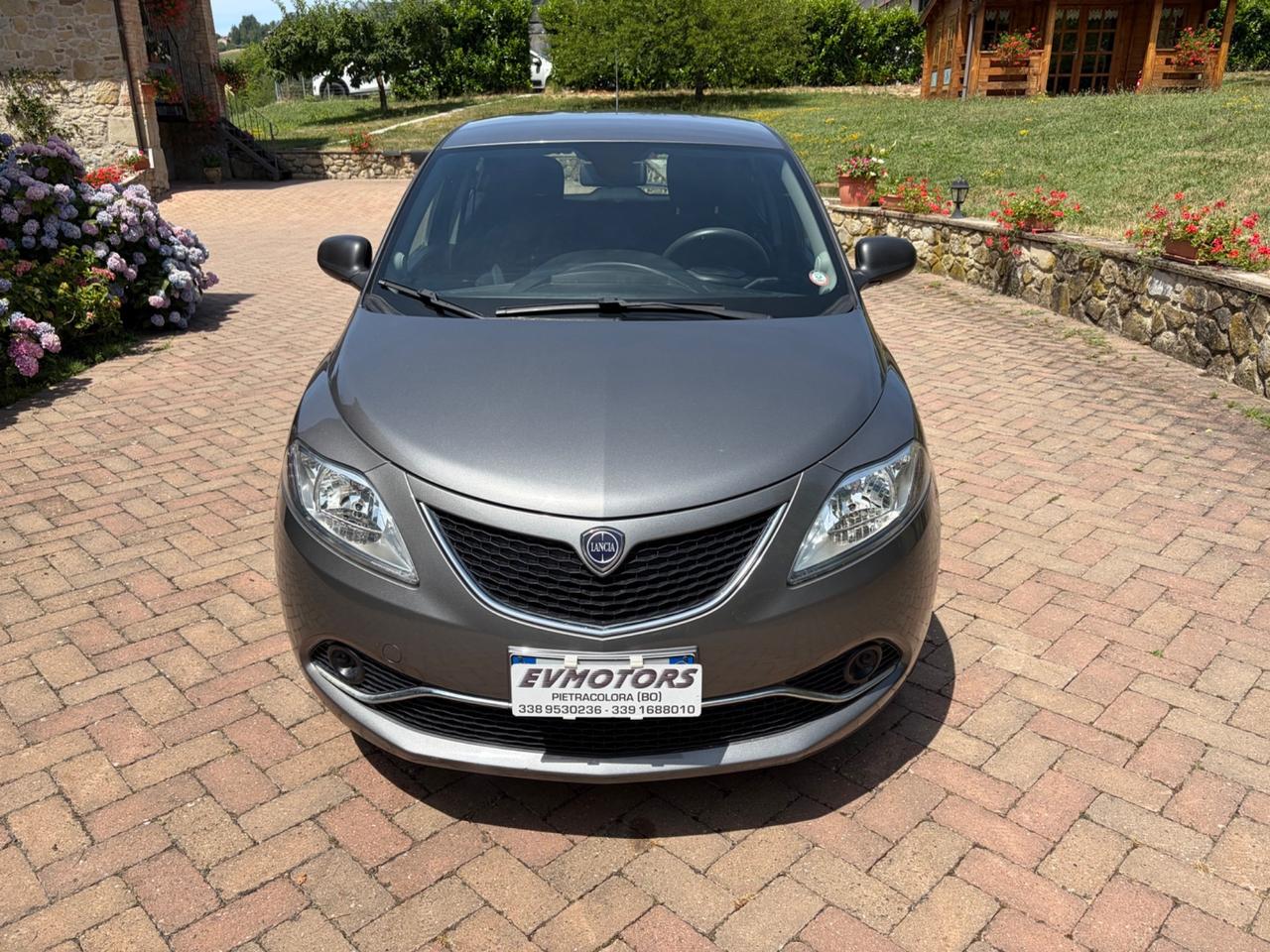 Lancia Ypsilon 1.2 69 CV 5 porte Gold OK NEOPATENTATI