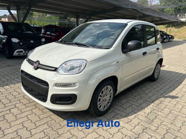 FIAT Panda PROMO FINANZ 1.0 HYBRID ICON KM 0