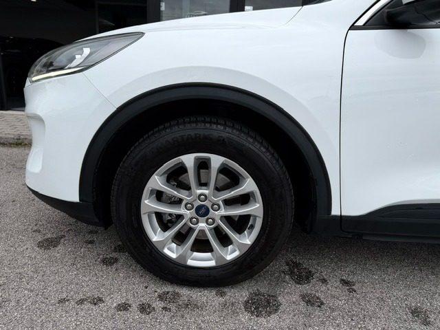 FORD Kuga 2.0 EcoBlue Hybrid 150 CV 2WD Titanium Business