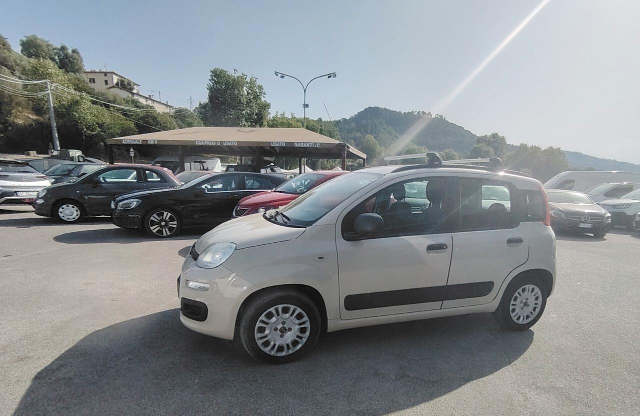 Fiat Panda 1.2 Pandazzurri - NEOPATENTATI