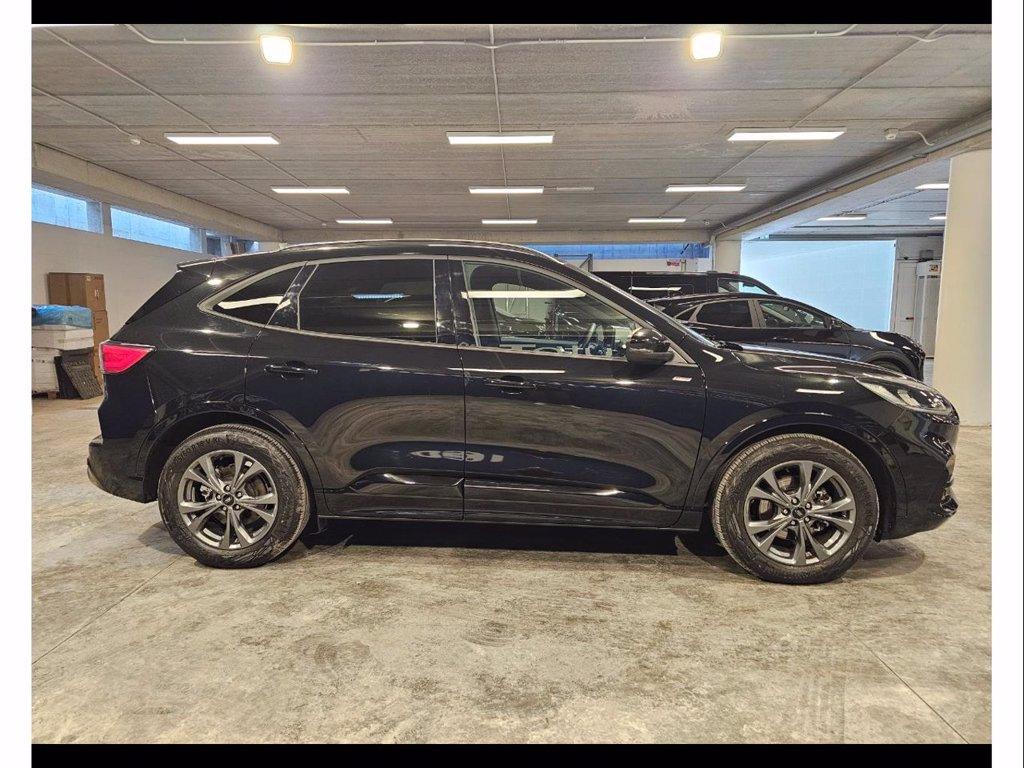 FORD Kuga 2.0 ecoblue st-line 2wd 120cv auto del 2024