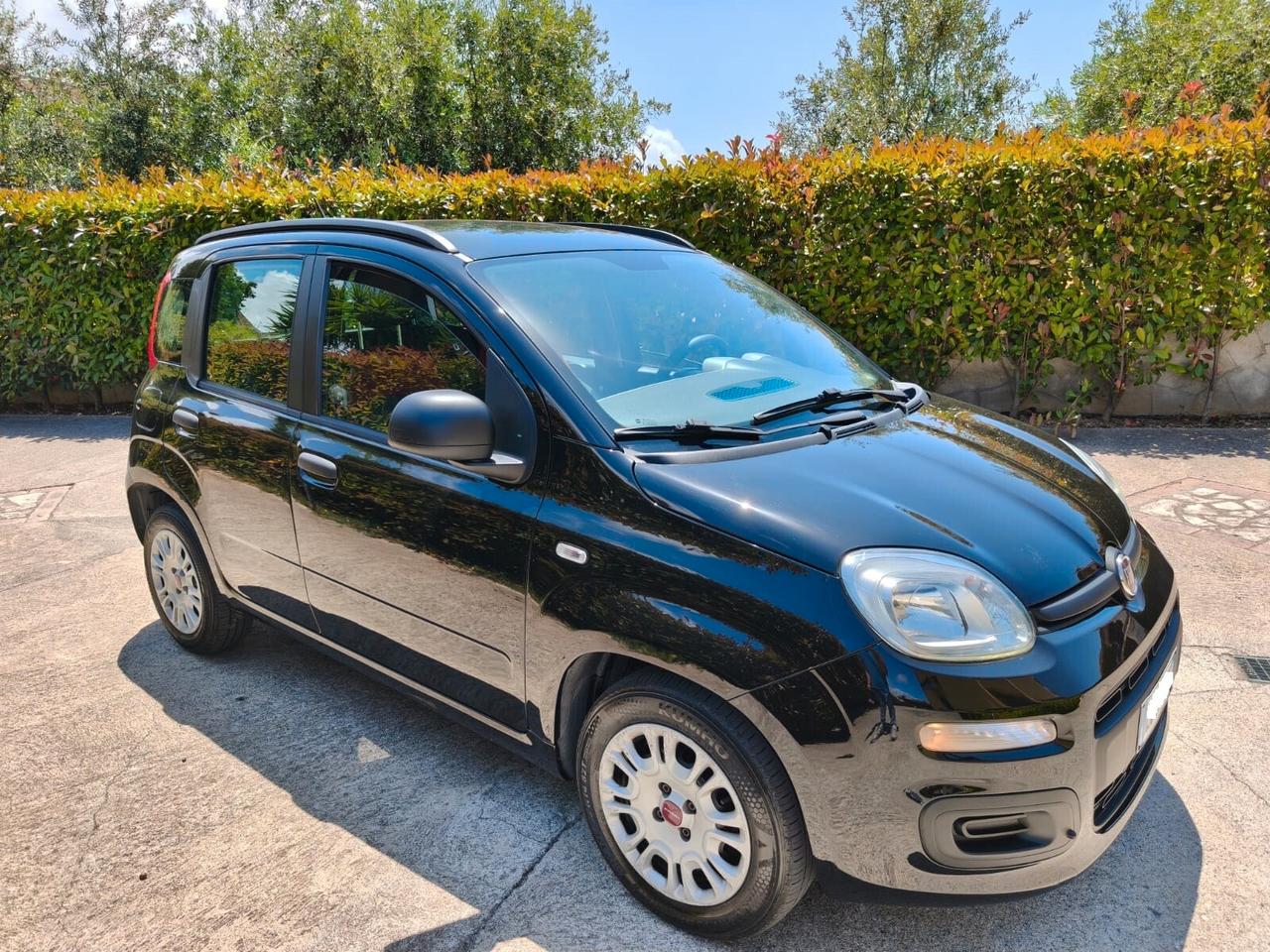 Fiat Panda 1.2 Benzina - 2015