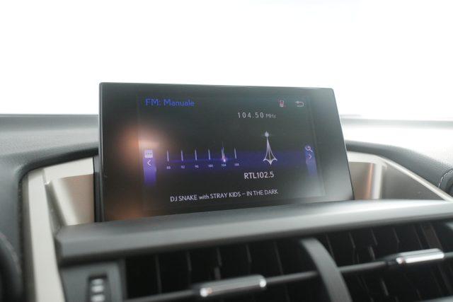 LEXUS Other NX NX Hybrid 4WD Luxury