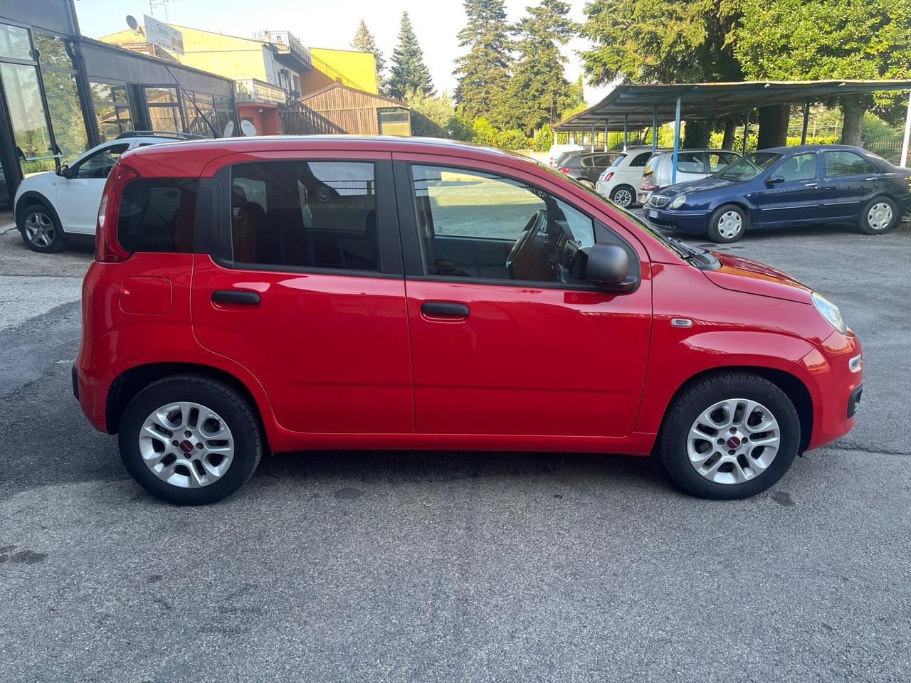 Fiat Panda 1.2 Lounge -solo Km 40500-