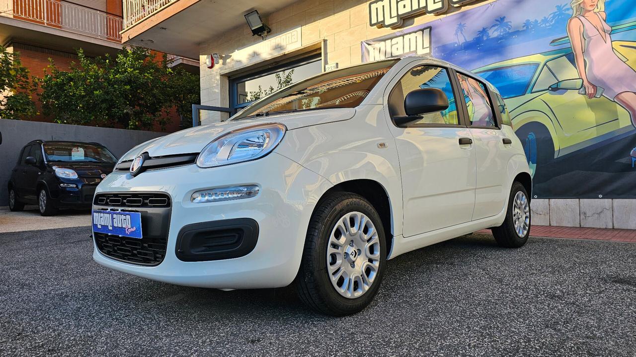 Fiat Panda 1.0 FireFly S&S Hybrid Pandina ICON KM0 REALE