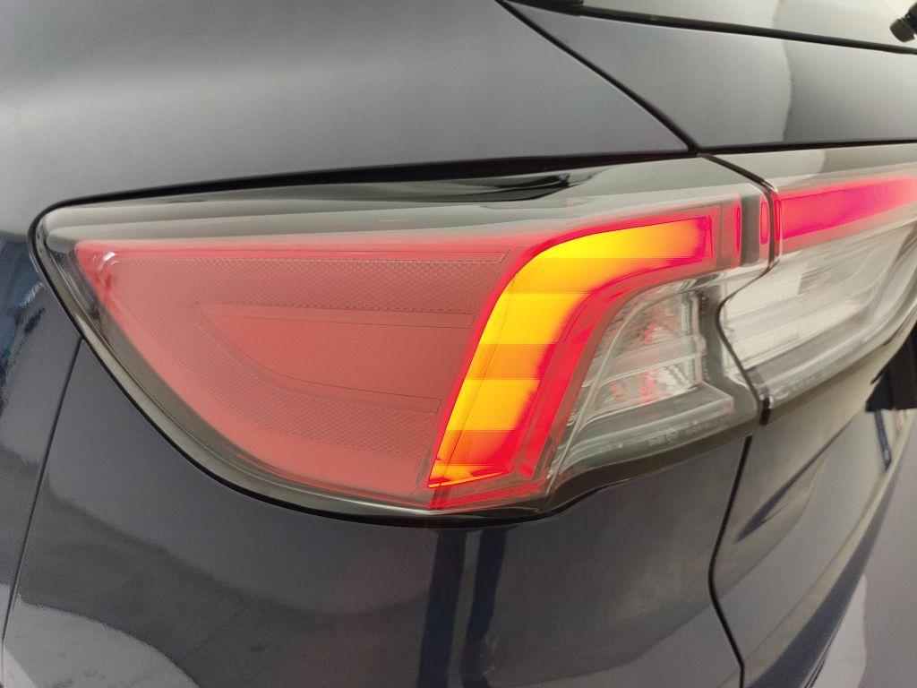FORD Kuga 3ª serie - Kuga 1.5 EcoBlue 120 CV 2WD ST-Line