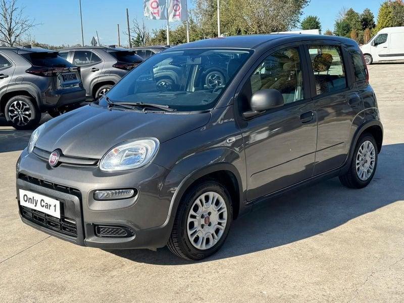 FIAT Panda Panda 1.0 firefly hybrid s&s 70cv 5p.ti