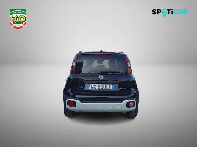 FIAT Panda 1.0 FireFly S&S Hybrid Pandina