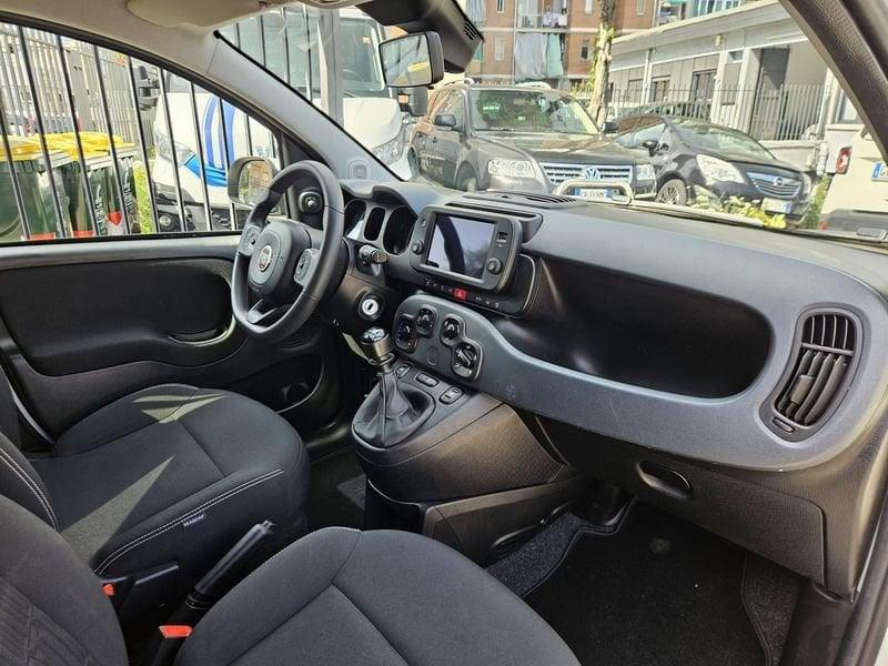 FIAT Panda Cross 1.0 FireFly 70cv S&S Hybrid City Cross