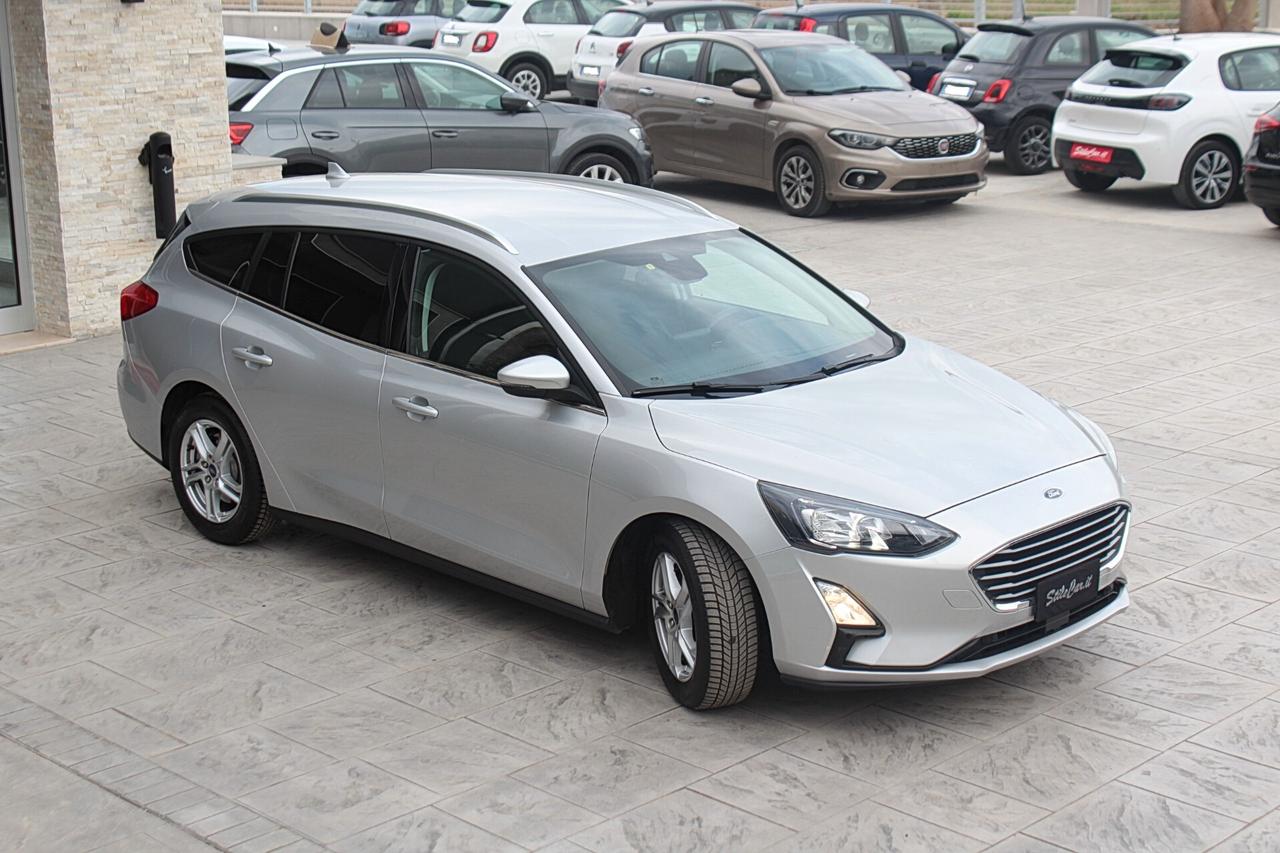 Ford Focus 1.5 EcoBlue 120 CV automatico SW Business Co-Pilot