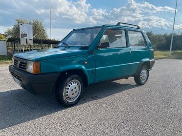 Fiat Panda 900 i.e. cat Young