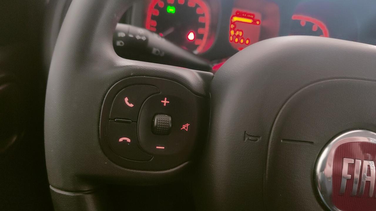 Fiat Panda 1.0 FireFly S&S Hybrid City Cross