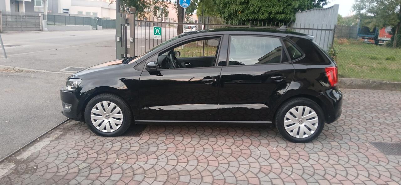 Volkswagen Polo 1.2 TDI DPF 3 porte Trendline