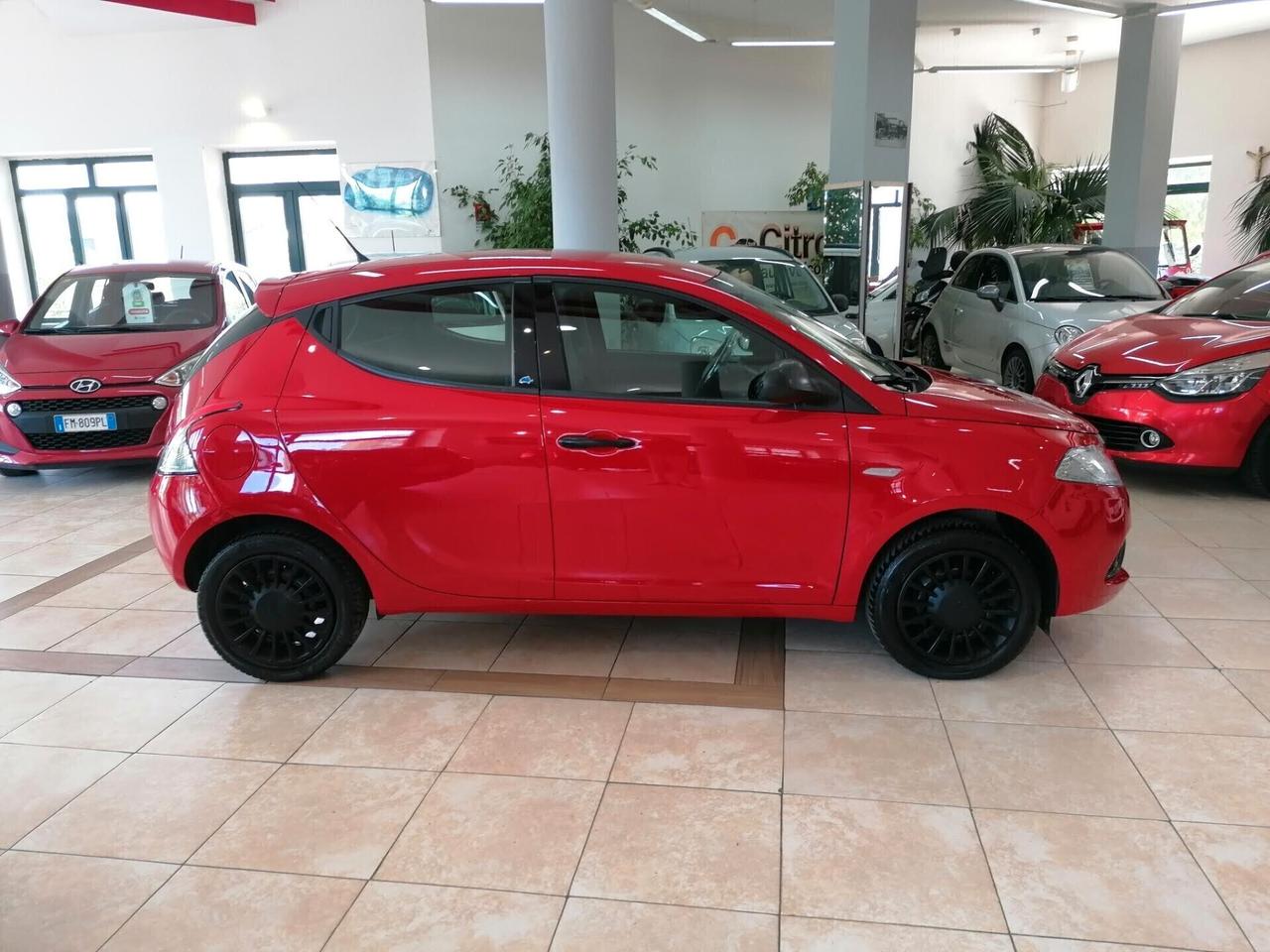 Lancia Ypsilon 1.2 5P Elefantino Blu - Neopatentati