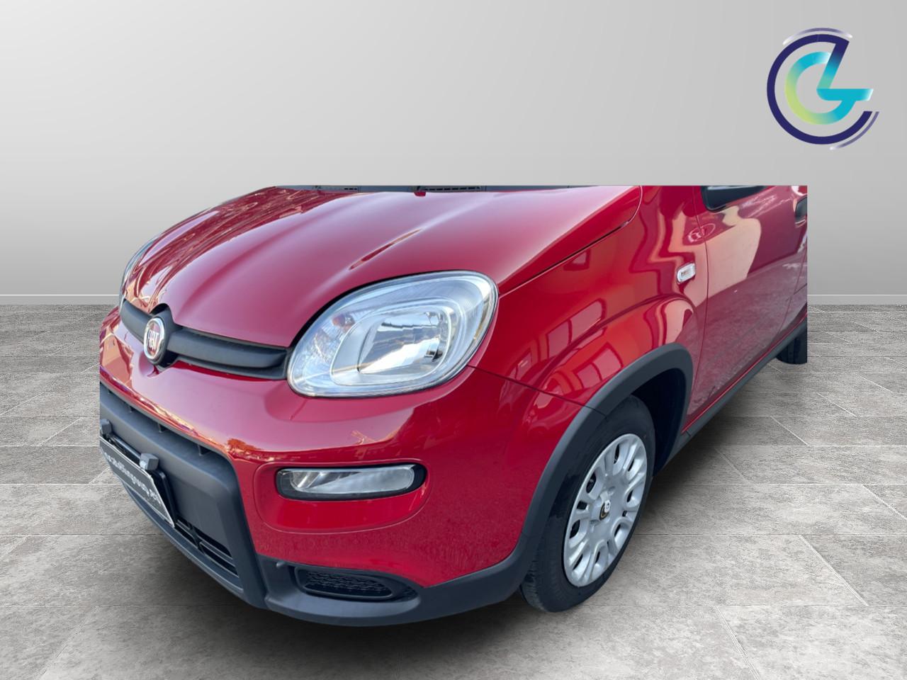 FIAT Panda III 2024 - Panda 1.0 firefly hybrid s&s 70cv