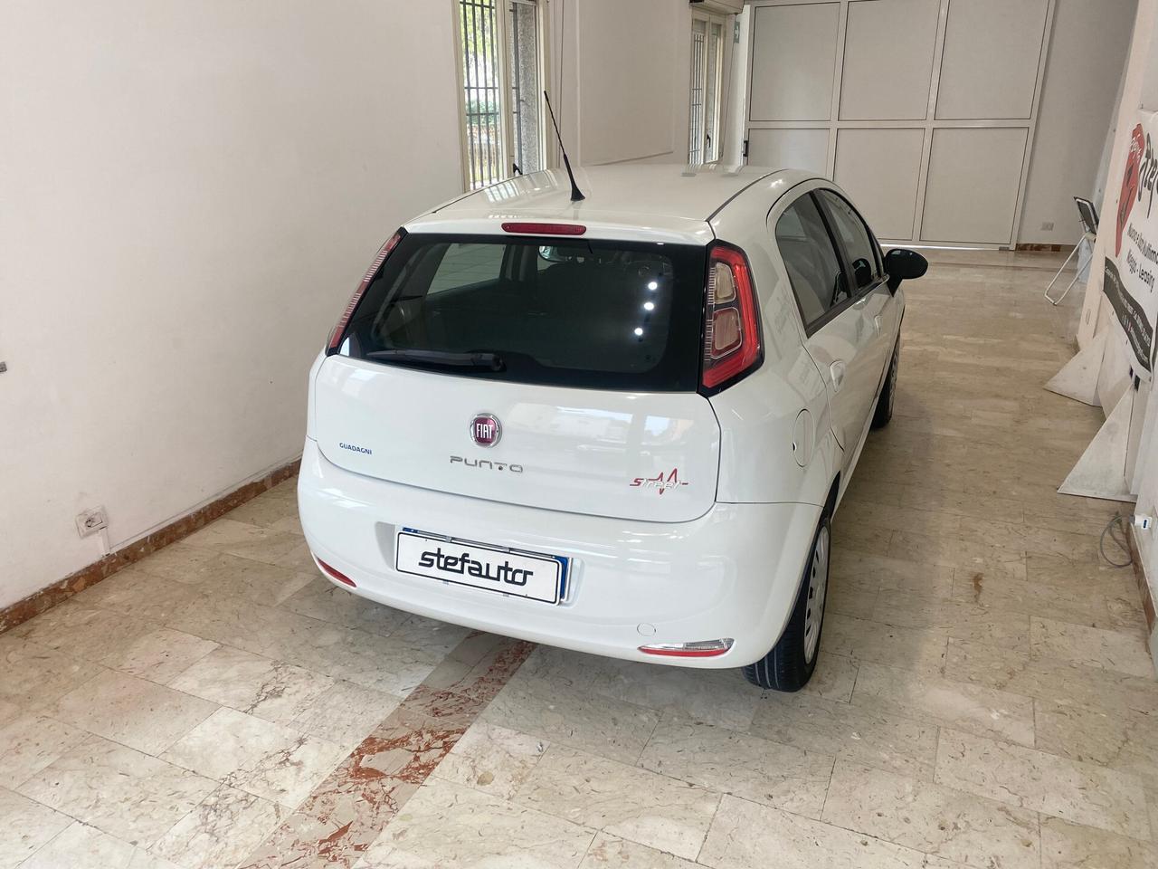 Fiat Punto EVO 1.4 77cv S&S 8V 5 porte Lounge