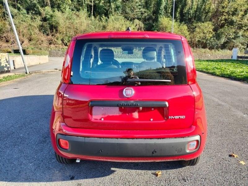 FIAT Panda Panda 1.0 FireFly S&S Hybrid Icon, Stereo Bluetooth con comandi al volante!