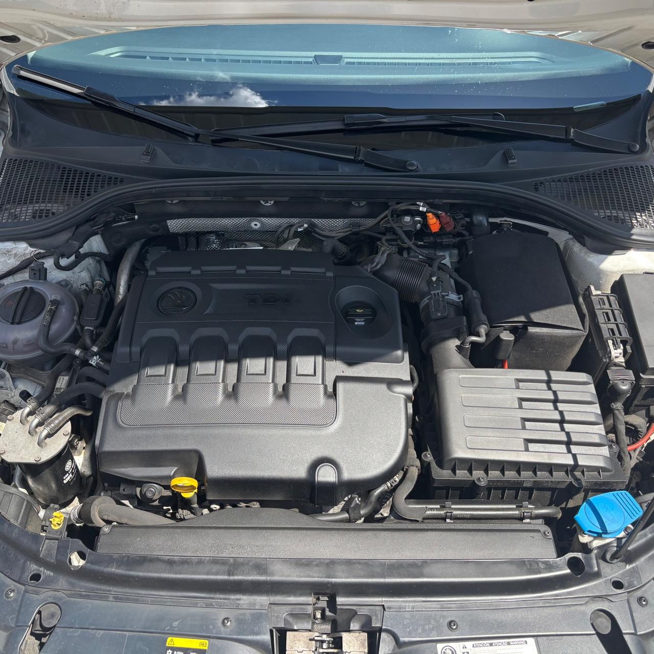 Skoda Octavia 1.6 TDI CR 105 CV Wagon Elegance