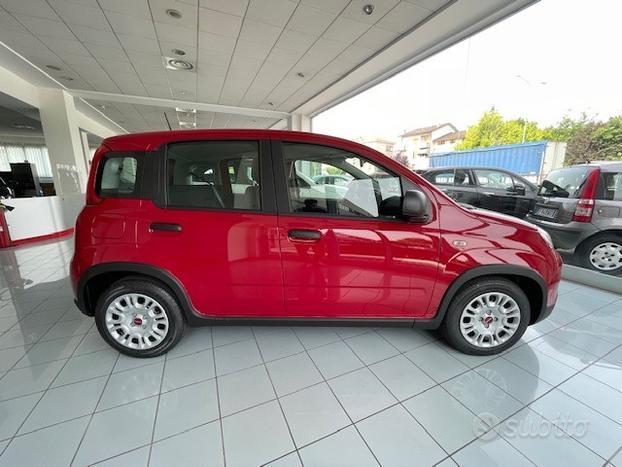 FIAT Panda 1.0 70cv Hybrid Panda N71578