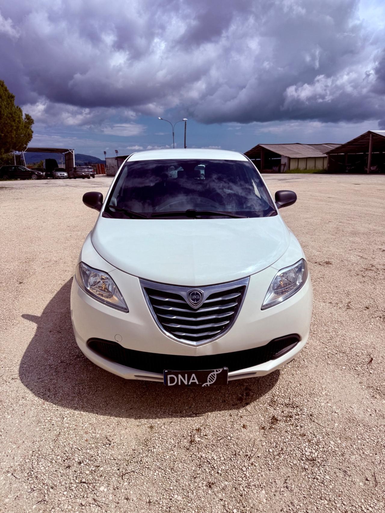 Ypsilon ecochic natural power neopatentati UNIPRO