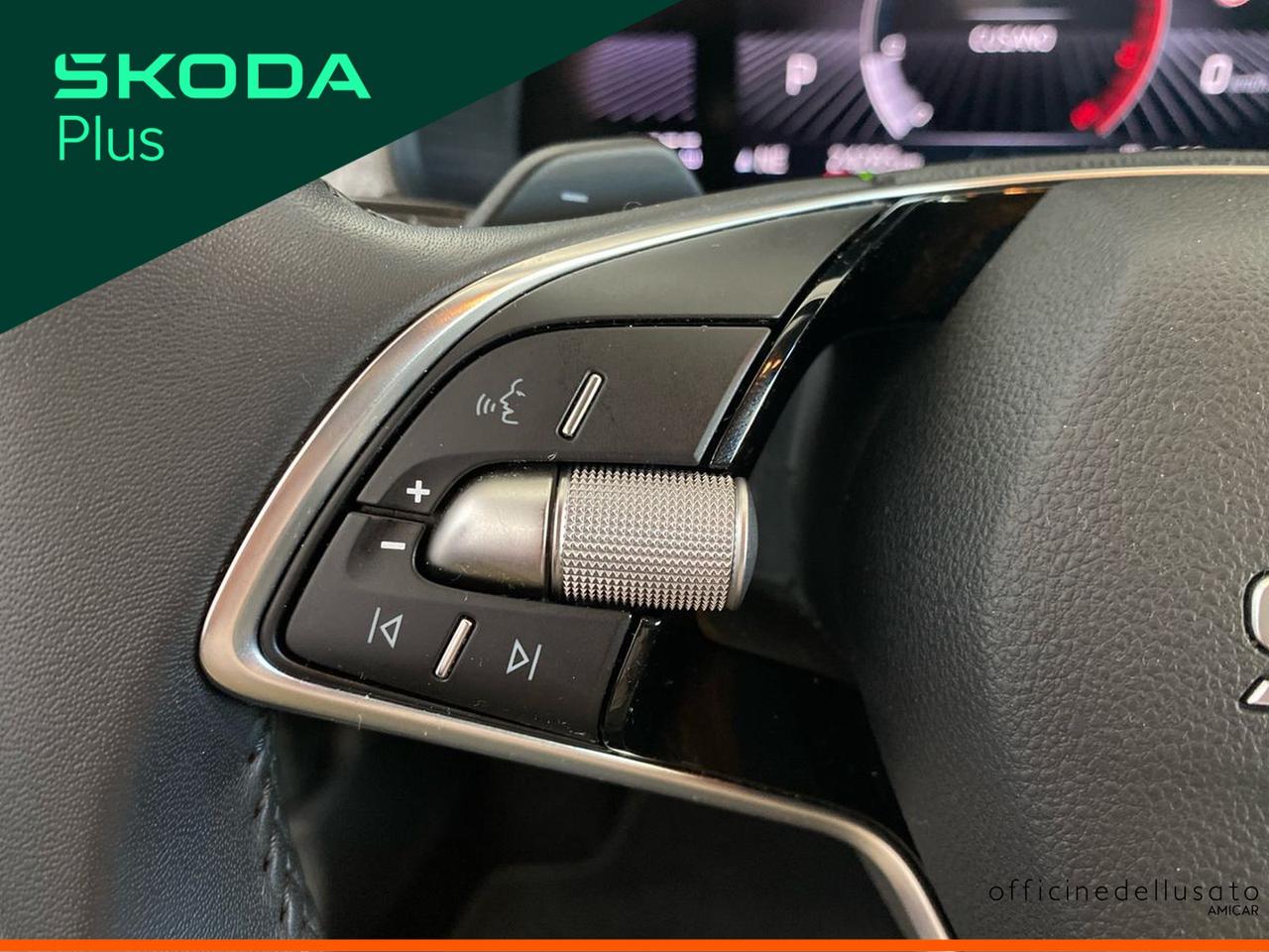 Skoda Kamiq 1.0 tsi 115cv black dots dsg