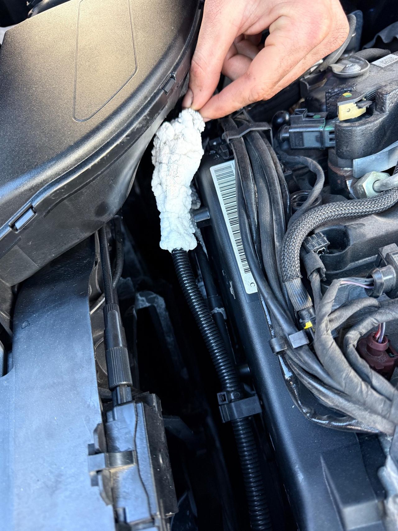 Volkswagen up! 1.0 5p. EVO sport BlueMotion Technology