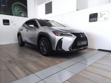 LEXUS UX - UX Hybrid Design