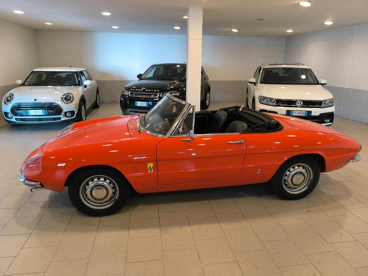 Alfa Romeo Spider