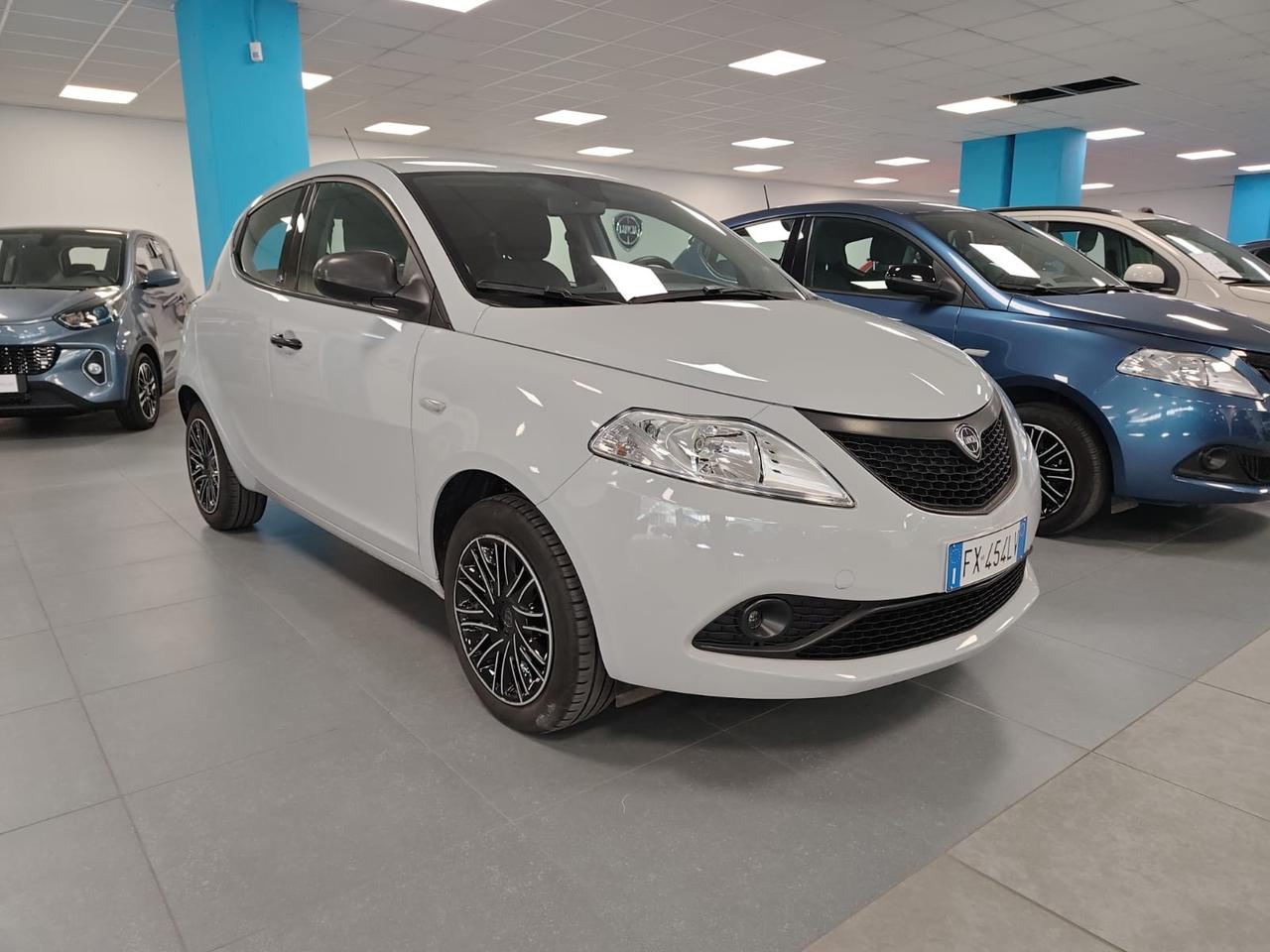 LANCIA Ypsilon 1.2 Elefantino Blu s&s 69cv my19