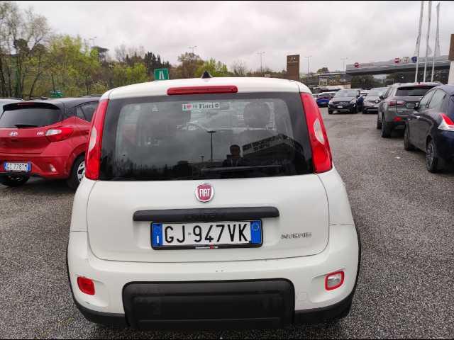 FIAT Panda III 2021 - Panda 1.0 firefly hybrid City Life s&s 70cv 5p.ti