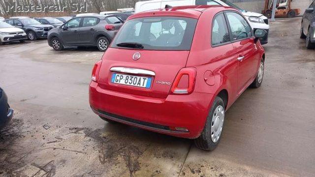 FIAT 500 NEOPATENTATI 500 1.0 hybrid 70cv TG : GP830AT