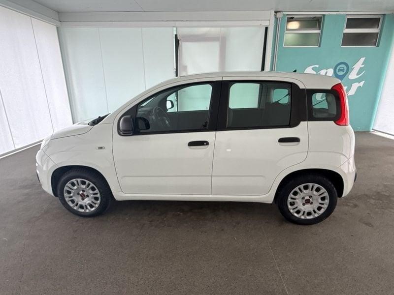 FIAT Panda 1.2 69cv E6 Easy