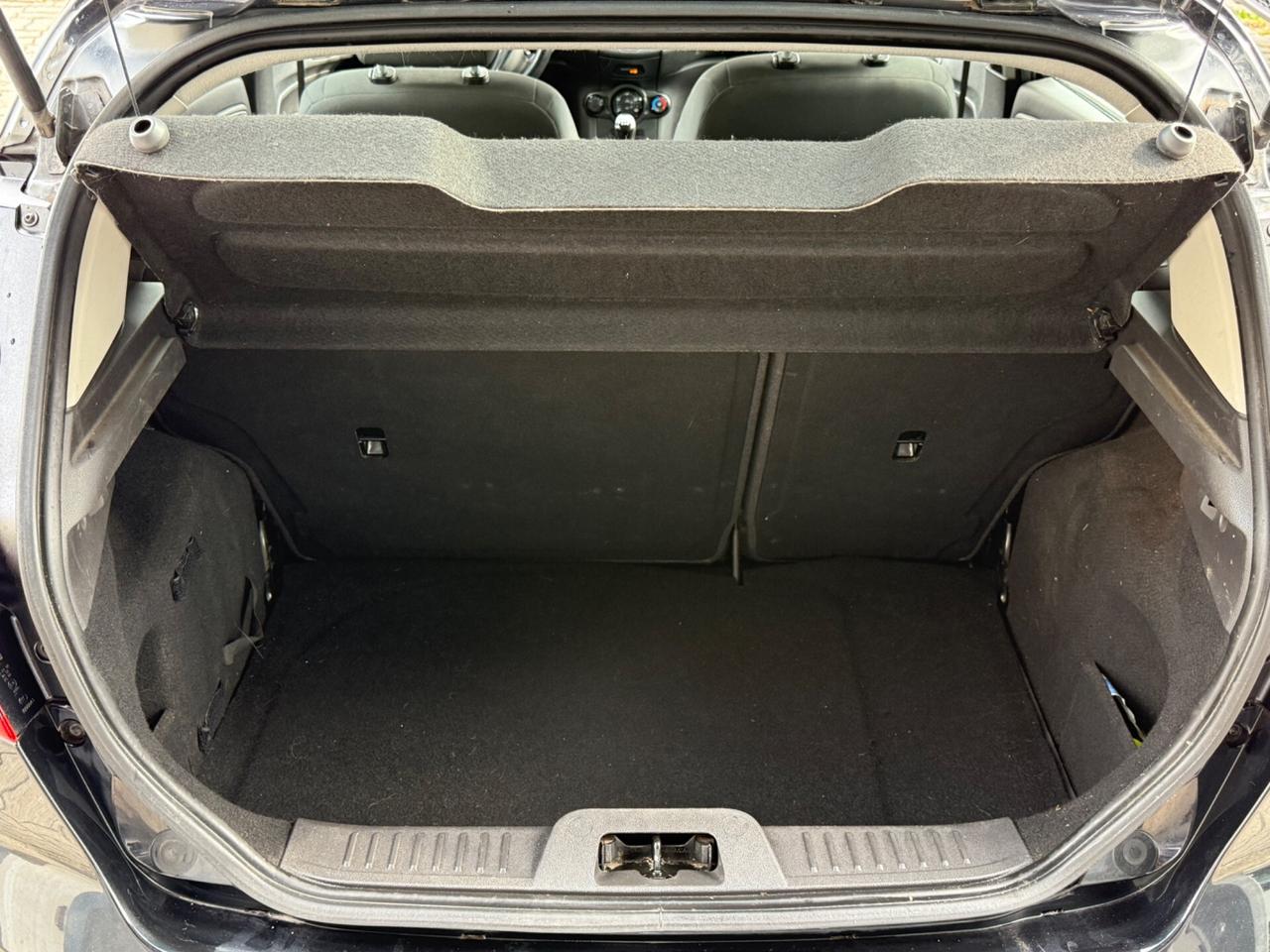 Ford Fiesta 1.4 5 porte Bz.- GPL Black & White Edition