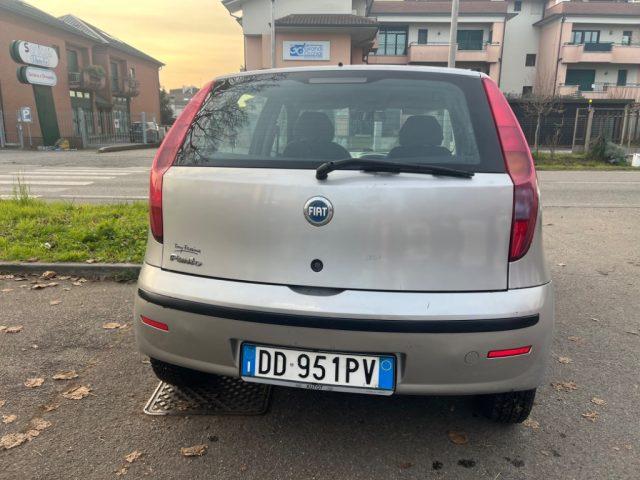 FIAT Punto 1.2 5 porte Dynamic