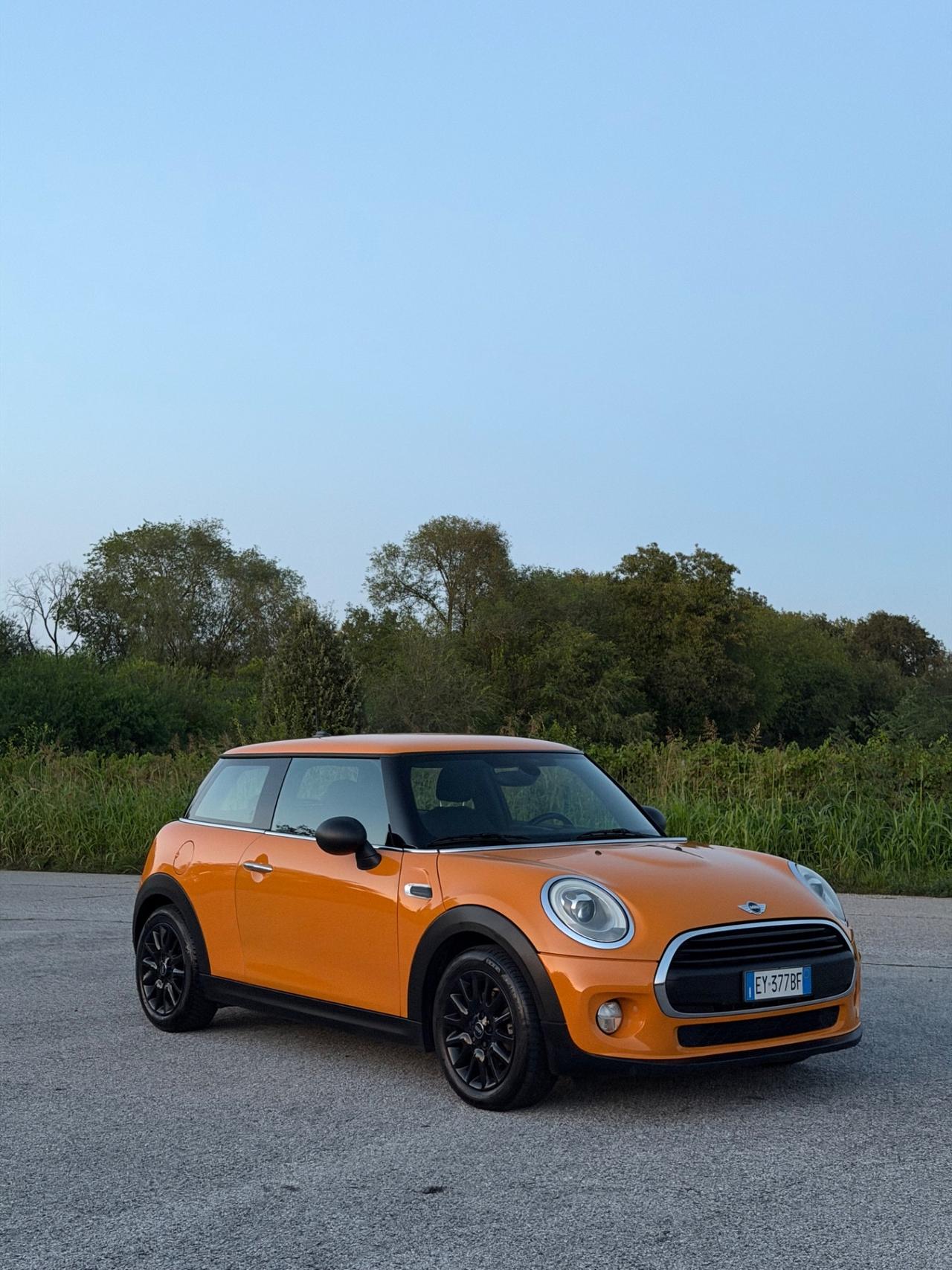 Mini 1.5 One D